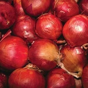 Red Onions by Ken Hammond - Art Print