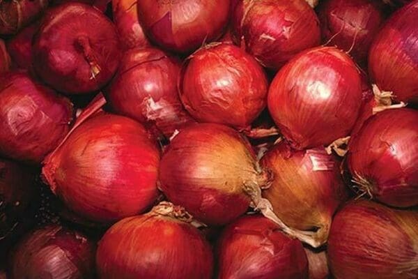 Red Onions by Ken Hammond - Art Print