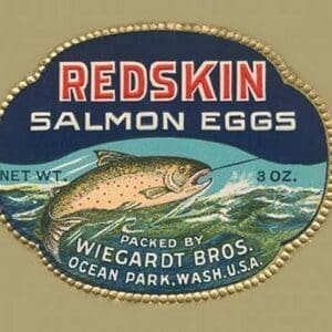 Redskin Salmon Eggs - Art Print