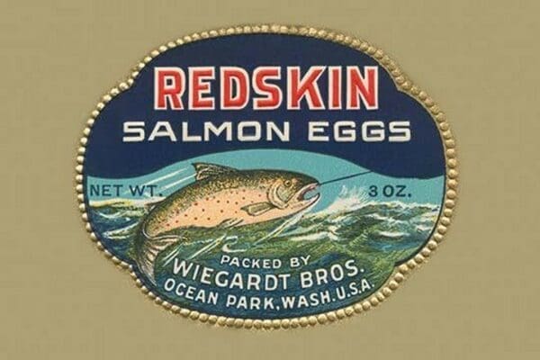 Redskin Salmon Eggs - Art Print