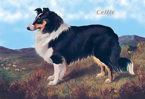 Reverend Hamilton's Collie - Art Print