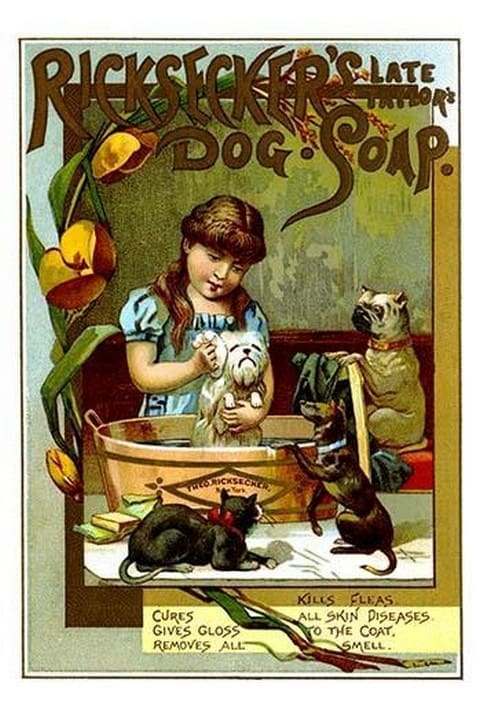 Ricksecker's Dog Soap - Art Print