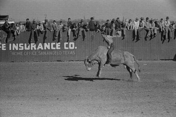 Riding a Brahma Bull by Russell Lee - Art Print