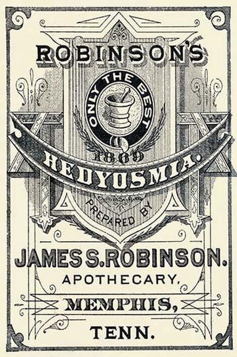 Robinson's Hedyosmia - Art Print