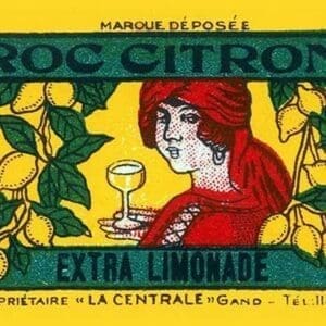 Roc Citron - Art Print