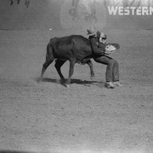 Rodeo Performer Bulldogging a Calf by Russell Lee #2 - Art Print