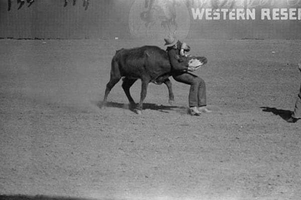 Rodeo Performer Bulldogging a Calf by Russell Lee #2 - Art Print