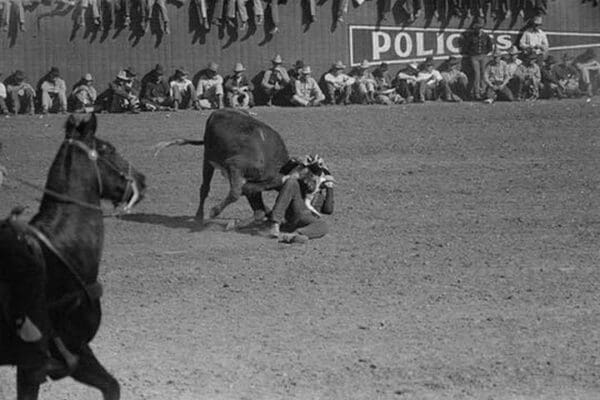 Rodeo Performer Bulldogging a Calf by Russell Lee - Art Print