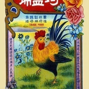 Rooster by the River Firecrackers - Art Print