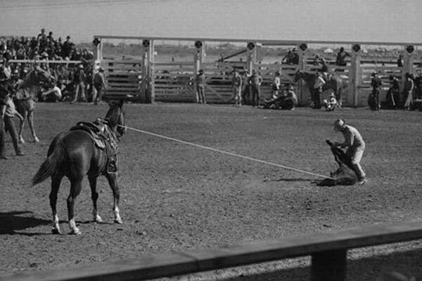 Roping Contest by Russell Lee - Art Print