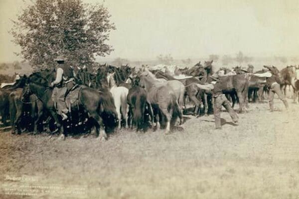 Roping and changing scene at Camp on round up on Cheyenne River by John C.H. Grabill - Art Print