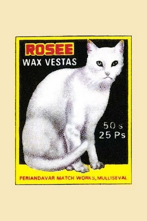 Rosee Wax Vestas- Art Print