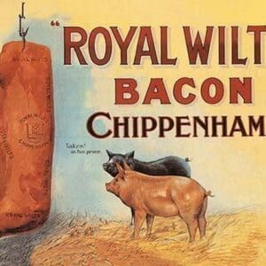 Royal Wilts Bacon - Art Print