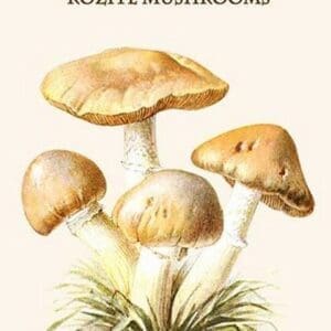 Rozite Mushrooms By Edmund Michael - Art Print