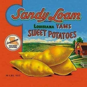 Sandy Loam Brand Yams - Art Print