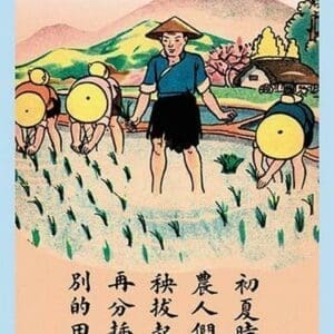 Separating the Rice Plants - Art Print