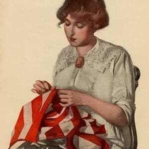 Sewing the Stars & Stripes by Modern Priscilla #2 - Art Print