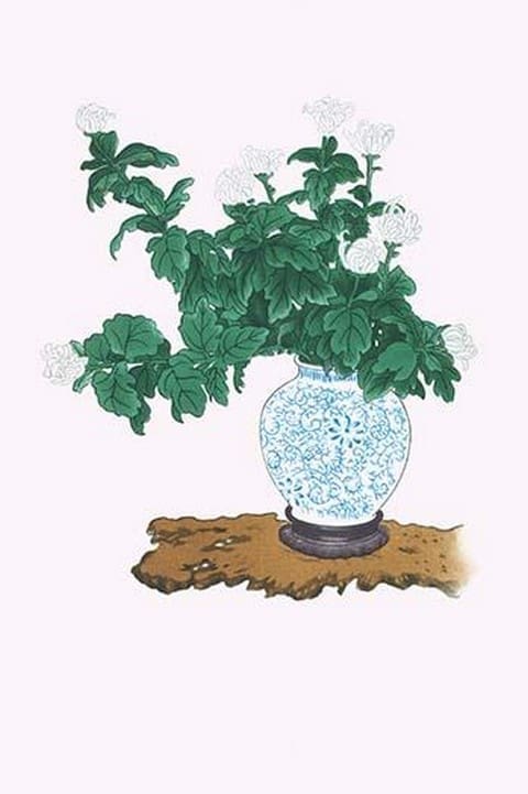 Shiragiku (White Chrysanthemum) in a Blue and White Tsubo by Josiah Conder #2 - Art Print