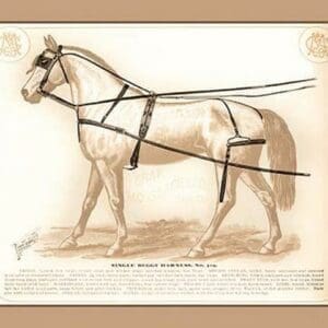 Single Buggy Harness - Art Print