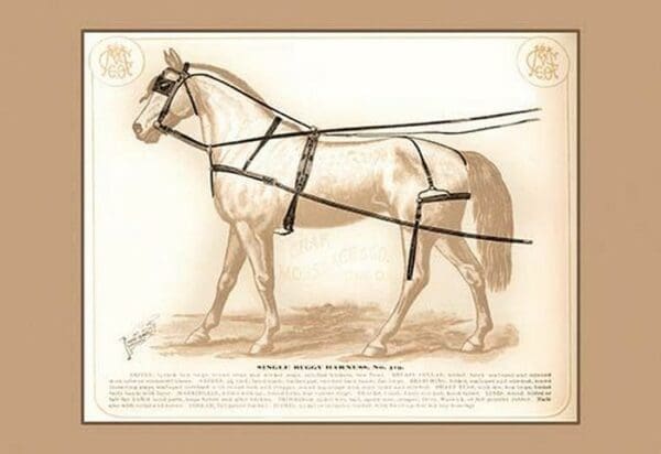 Single Buggy Harness - Art Print