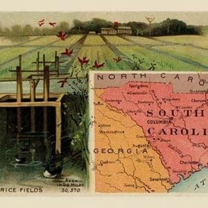 South Carolina by Arbuckle Brothers - Art Print