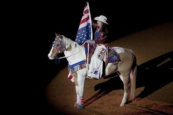 Southeastern Livestock Exposition Championship Rodeo by Carol Highsmith - Art Print