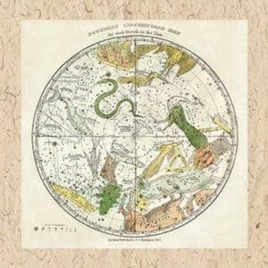 Southern Circumpolar Map by W. G. Evans - Art Print