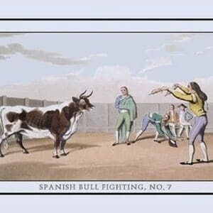 Spanish Bull Fighting