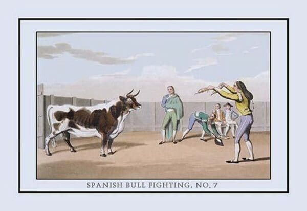 Spanish Bull Fighting