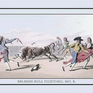 Spanish Bull Fighting