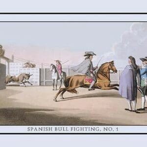 Spanish Bullfighting