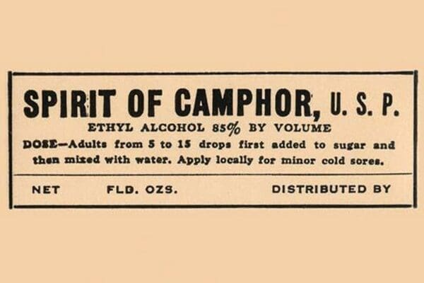 Spirit of Camphor #2 - Art Print