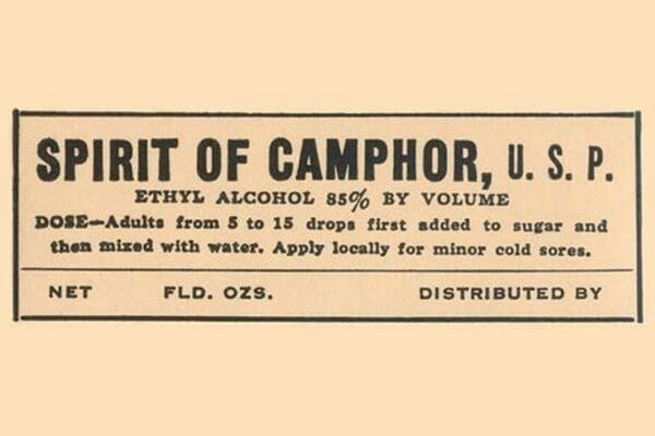 Spirit of Camphor - Art Print