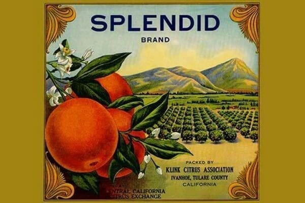 Splendid Brand Citrus - Art Print