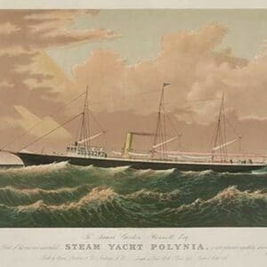 Steam yacht Polynia - Art Print