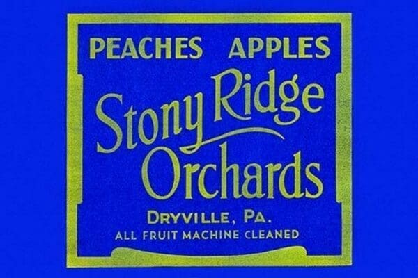 Stony Ridge Orchards Peaches & Apples - Art Print