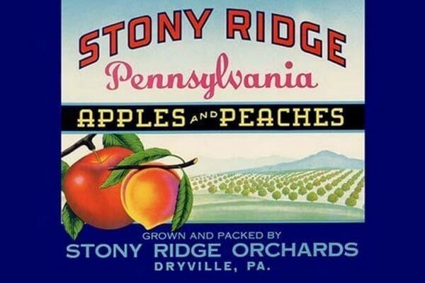 Stony Ridge Pennsylvania Apples and Peaches - Art Print