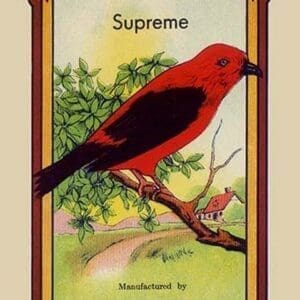 Supreme Broom Label - Art Print