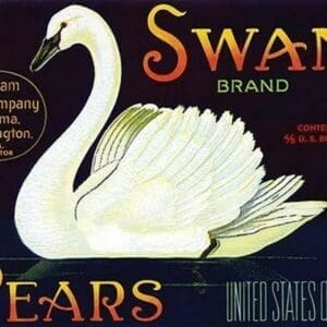 Swan Brand Pears - Art Print