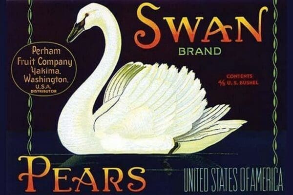 Swan Brand Pears - Art Print