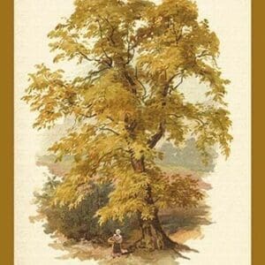 Sweet Chestnut by W.H.J. Boot - Art Print