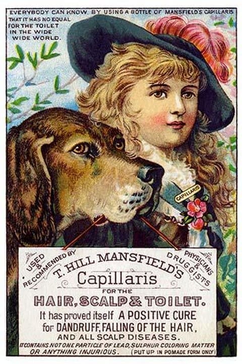 T. Hill Mansfield's Capillaris - Art Print