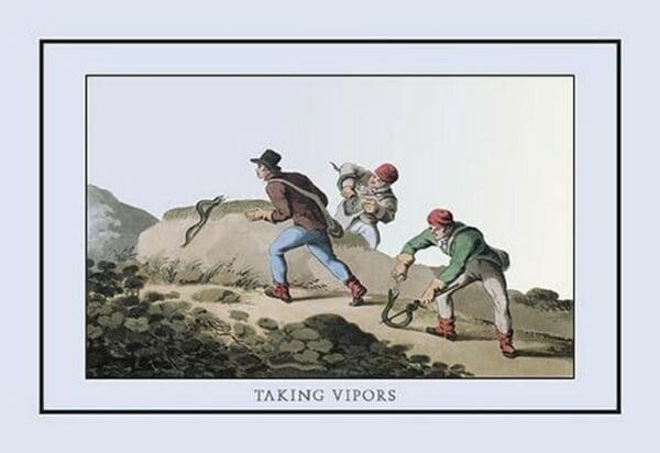 Taking Vipers by J.H. Clark - Art Print