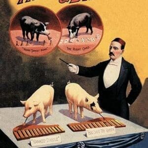 Tatum and Bristol's Troupe of Trained Pigs - Art Print