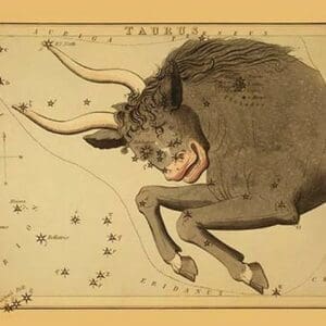 Taurus the Bull by Aspin Jehosaphat - Art Print