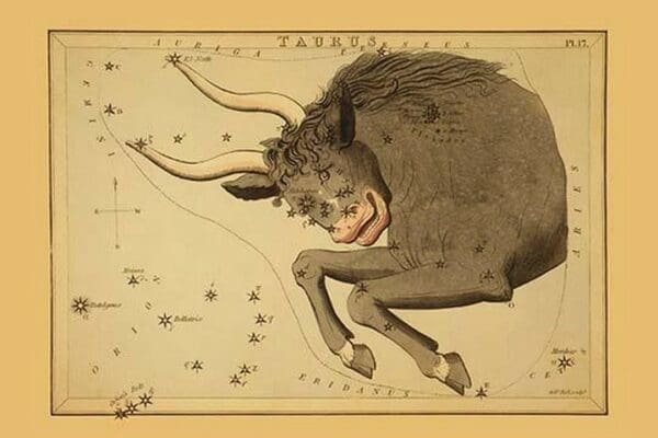 Taurus the Bull by Aspin Jehosaphat - Art Print