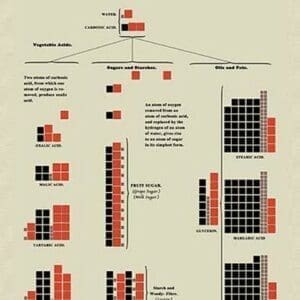 Ternary or Non-Nitrogenized Principles of Food by Edward L. Youmans - Art Print