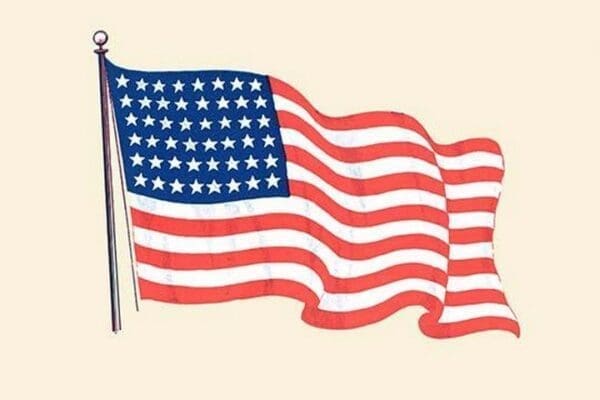 The American Flag - Art Print