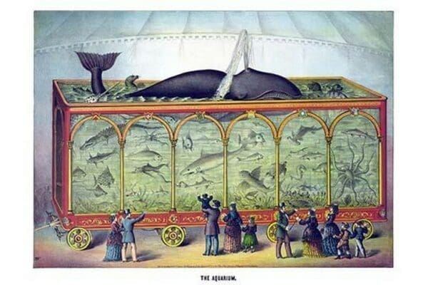 The Aquarium by Gibson & Co. - Art Print