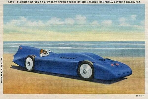 The BlueBird 5 by R.H. Le Sesne - Art Print